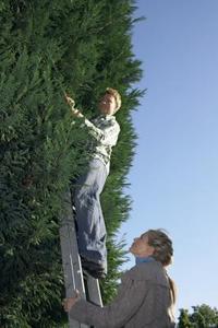 "That a-hole designer said these would be low-maintenance."  (Nick Daley/DigitalVision/Getty Images)