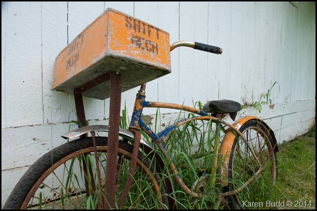 Bicycle leaning against the shed